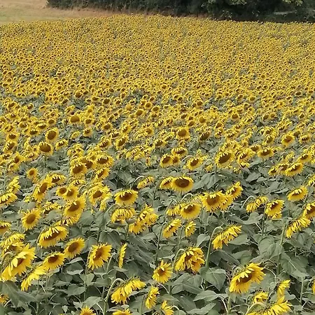 Le Petit Radieux 3* Gémozac