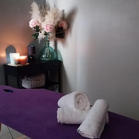 게스트하우스 Le Petit Radieux 3*