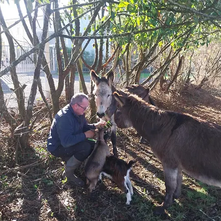 Pensión Le Petit Radieux Gémozac